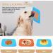 Licky Mat for Dogs with Silicone Spatula - Blue 15x15 cm - 1pc - Buy Online on GoSupps.com