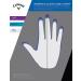 Callaway Women's Opti Flex Golf Glove - White, Standard Medium (Left Hand) - Buy Online on GoSupps.com
