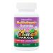 NaturesPlus Animal Parade Multivitamin Children's Gummies - 90 Count - Assorted Cherry Grape & Orange Flavors - Supports Immune System - Vegetarian Gluten Free - 30 Servings