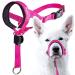 Goodboy Dog Halver with Service belt - stops heavy pulling on a leash - padded halter for small medium -sized and large dogs - halter with training instructions (possibly not in size 1 (pack of 1) pink