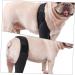 GANAZONO Dog Hindleg Cover Paw Butter Balm for Dogs Comfy Brace Dog Rear Leg Splint Care Elbow Pads S As Shown - Buy Online on GoSupps.com
