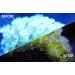 Kraken Reef UV Coral Viewing Glasses - Enhance Your Underwater Exploration - Buy Online on GoSupps.com