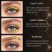 OUKEYA Eyelash Growth Serum - Longer Thicker Lashes & Brows, Hypoallergenic Formula, Safe & Non-Irritating | 1-Pack - Buy Online on GoSupps.com