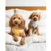 Remy+Roo Dog Bandanas - 4 Pack Kathrine Set | Premium Durable Fabric | Adjustable Fit | Unique Shape | Large Sizes Available - Buy Online on GoSupps.com