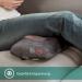 Salter Shiatsu Massage Pillow - Deep Tissue Massage Device with Heat for Back Shoulders Legs & Lumbar Relief | Targeted Muscle Relaxation - Buy Online on GoSupps.com