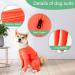 Etdane One-Divider for Dogs - Surgical Recovery Suit for Male & Female Dogs | Anti-Hair Failure Long-Sleeved Pile Suit (Large Orange) - Ideal Post-Operation Care - Buy Online on GoSupps.com