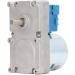 Buy Screw Feed Motor AC220V - 20W Wear-Resistant Rotary Motor for Beverage Cabinets | 270kg.cm Torque - International Shipping Available - Buy Online on GoSupps.com