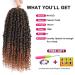 Passion Twist Hair - 14 Inch 8 Packs Crochet Pretwisted Curly Hair for Black Women - T30 - Buy Online on GoSupps.com