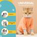 AVONT Cat Recovery Suit - Protective Alternative Surgical Spay Suit for Female Cats Gray Coral L - Ideal for Post-Operative Care & Skin Diseases - Buy Online on GoSupps.com