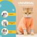 Avont Katzenbody: Optimal Recovery Suit for Cats | Spay Castration & Wound Protection | M Coral - Buy Online on GoSupps.com