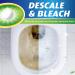 Toilet Bowl Cleaner Tablets - 40 PCS Automatic Deodorizing & Descaling Bleach Tablets for International Shipping - Buy Online on GoSupps.com