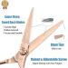 Professional Purplebird 6-Inch Hairdressing Scissors Sharp Japanese Stainless Steel Shears for Men & Women with Bronze Wing Grip - Buy Online on GoSupps.com