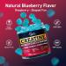 Creatine Gummies for Men & Women, Blueberry Creatine Monohydrate Gummies, Gluten Free, Vegan Friendly, 120 Count Blueberry 120 Count (Pack of 1) - Buy Online on GoSupps.com