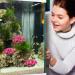 Artificial Coral Ornaments | LTHhermelk Pink Aquarium Decoration for Fish Pools & Landscapes - Buy Online on GoSupps.com