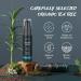 POP MODERN.C Blackhead Remover Mask | Deep Cleansing Charcoal Peel Off Facial Mask with Tea Tree | Pore Purifying Acne Face Mask and Brush Kit - Buy Online on GoSupps.com