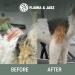 FLAMIA & JABZ Wire Stripping Pliers for Pets - Durable 13mm Metal Tool for Dogs & Cats - International Shipping Available - Buy Online on GoSupps.com