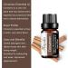 Miyuki Cinnamon Essential Oil 10ml | Pure Aromatherapy for Diffusers Cleaning & Yoga | Premium Quality International Shipping - Buy Online on GoSupps.com