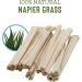 Living World Green Small Animal Chews Napier Grass Sticks - 20 Count (Pack of 1) - Buy Online on GoSupps.com