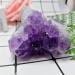 Natural Dream Amethyst Quartz Crystal Cluster Amethyst Geode Specimen Suitable for Home Garden Decor Crystal Cluster (Color : Amethyst Size : 100g) 100g Amethyst - Buy Online on GoSupps.com