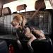 EZYDOG Drive Car Harness | Crash Tested Rule 57 Compliant Adjustable Harness for Large Dogs Up-To 75lb/34kg | Car Restraint for Safe Travel - Buy Online on GoSupps.com