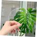 TEHAUX 40pcs Round Clear Discs Acrylic Blank Disc DIY Pendant Material Paint Party Supplies Manual Transparent 5x5cm - Buy Online on GoSupps.com