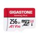 Gigastone 256GB Micro SD Card, Gaming Plus, MicroSDXC Memory Card for Nintendo-Switch, Wyze, GoPro, Dash Cam, Security Camera, 4K Video Recording, UHS-I A1 U3 V30 C10, up to 100MB/s, with Adapter