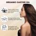 LHBMET Organic Castor Oil with Rose Quartz Roller Cold-Pressed Pure Organic Castor Oil Roller Ball for Hair Eyelashes Eyebrows & Skin (1) - Buy Online on GoSupps.com