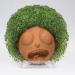 Chia Pet Rick Decorate Planter Morty - Buy Online on GoSupps.com