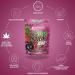 IronMaxx 100% Vegan Protein Zero - Vegan Protein Powder with 3 Protein Sources - Mixed Berries Flavour - 1 x 500g Bag - Buy Online on GoSupps.com