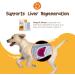 PetExx Hepatic Boost 30 Tablets - Vet-Formulated SAMe & Silybin Supplement for Liver Health in Pets - UK Made - Buy Online on GoSupps.com