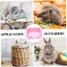 COLLBATH Box Rabbit Toilet Guinea Pig Cooling Racks for Baking Pet Litter Pan Trainer Cat Toilet Plastic 28.5X23.5X15.5CM Pink - Buy Online on GoSupps.com