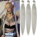 Braids Kunsthaar 26 inch 3packs ginger braiding hair for braids hair for a single-laid Box Braids Kunsthaar for simple synthetic braiding hair extensions braids braid extensions (26 inches silver#) 66cm-26 inch (3-pack) silver##