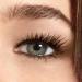 Yves Rocher Couleurs Nature Mascara Volume & Length | Full Eyelashes & Beautiful Eyes | 8ml Black - Best International Shipping - Buy Online on GoSupps.com