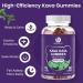 Kava Gummies 500mg High Absorption Kava Root Extract Supplement With 50% Kavalactones for Mood Sleep and Stress Suppport Sugar Free Blueberry Flavor 60 Count - Buy Online on GoSupps.com