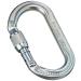 PETZL Pro Oxan Screw-Lock Carabiner Gold Screw-Lock