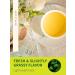 TeeLux Nettle Leaf Tea Bags 100 Count Stinging Nettle Tea Pure Natural Nettle Leaf Herbal Tea Caffeine Free Biodegradable Tea Bags Nettle Tea 100 Count (Pack of 1) - Buy Online on GoSupps.com