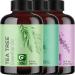 Premium Hair Oils for Hair and Skin - Pure Tea Tree Lavender and Eucalyptus Oils for Hair and Skin Care - Hair Treatment Oils Set with Eucalyptus Lavender Tea Tree Essential Oil 4 Fl Oz Each