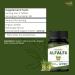 Alfalfa 120 Tablets | Medicago Sativa (Alfalfa) | USDA Organic Certified | Superfood Supplement with Vitamins and Minerals* | Dietary Supplement 120tab 120 Count (Pack of 1) - Buy Online on GoSupps.com