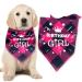ExceLife Plaid Dog Birthday Bandana Adjustable Plaid Pet Triangle Scarf Bibs for Dog Puppy Birthday Party Supplies Birthday Girl Pink Red