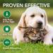 Vet's Best Flea and Tick Wipes for Dogs and Cats - 50 Multi-Purpose Treatment Wipes - Buy Online on GoSupps.com