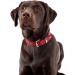 HUNTER BASIC Dog Collar - Coated Split Leather Weather-Resistant Robust & Simple Design (65cm Red) - International Shipping Available - Buy Online on GoSupps.com