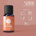 Woolzies Work Buddy Essential Oil Blends Set of 3 - 9-5 Energy Creative Genius & After Hours | 10 ML | Diffuser Massage & Topical Use | International Shipping - Buy Online on GoSupps.com