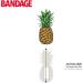 BioSwiss 24pcs Sterile Adhesive Unique Shaped Bandages | Adorable Pineapple Novelty Bandages for Scrapes and Cuts - Buy Online on GoSupps.com