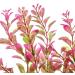 Mayitr 46cm Rhodo Artificial Aquarium Plants - Realistic Aquatic Decoration for Aquariums | Ship Worldwide - Buy Online on GoSupps.com