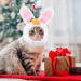 Fun Cat Hat & Cute Rabbit Ears Costume for Cats and Small Dogs Perfect Party Accessories for Kittens & Puppies - Buy Online on GoSupps.com