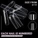 Ranrose 240PCS XXXL Long Square Acrylic Nail Tips - Clear Full Cover Straight Tapered Square Nails - 3XL Long Square Tips - Buy Online on GoSupps.com