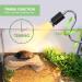 Lunriwis Turtles Heat Lamp | UVB Basking Spot Light Bulb for Reptiles - Ideal for Turtles Lizards Snakes and Amphibians - Buy Online on GoSupps.com