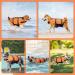 Nobleza Dog Life Jacket - Adjustable Buoyancy Vest for Medium Dogs | Reflective Rescue Handle & Swimming Safety | Orange - Buy Online on GoSupps.com