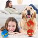 Buy Interactive Dog Toys - Frisbee Ball Flying Saucer & Super Ball for Training | Best Pet Toys for Dogs - Buy Online on GoSupps.com