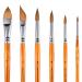 Sable Watercolor Brushes Professional Kolinsky Watercolor Paint Brushes for Artists 6pcs - Pointed Rounds Cat Tongue Oval Wash Dagger for Watercolor Acrylics Inks Gouache Painting Yellow